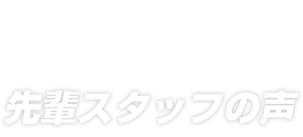 先輩スタッフの声